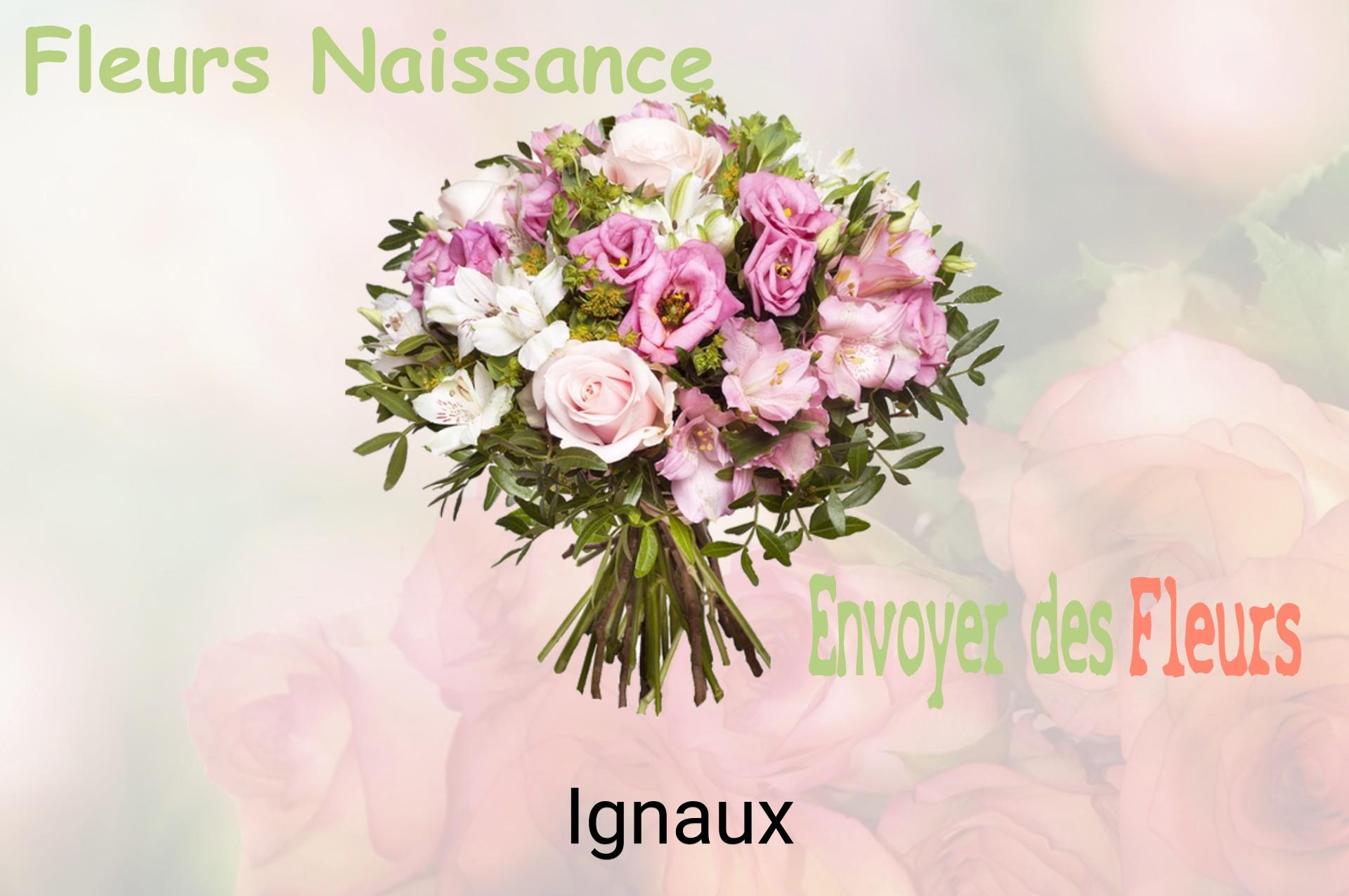Bouquet de fleurs de naissance livré à Ignaux